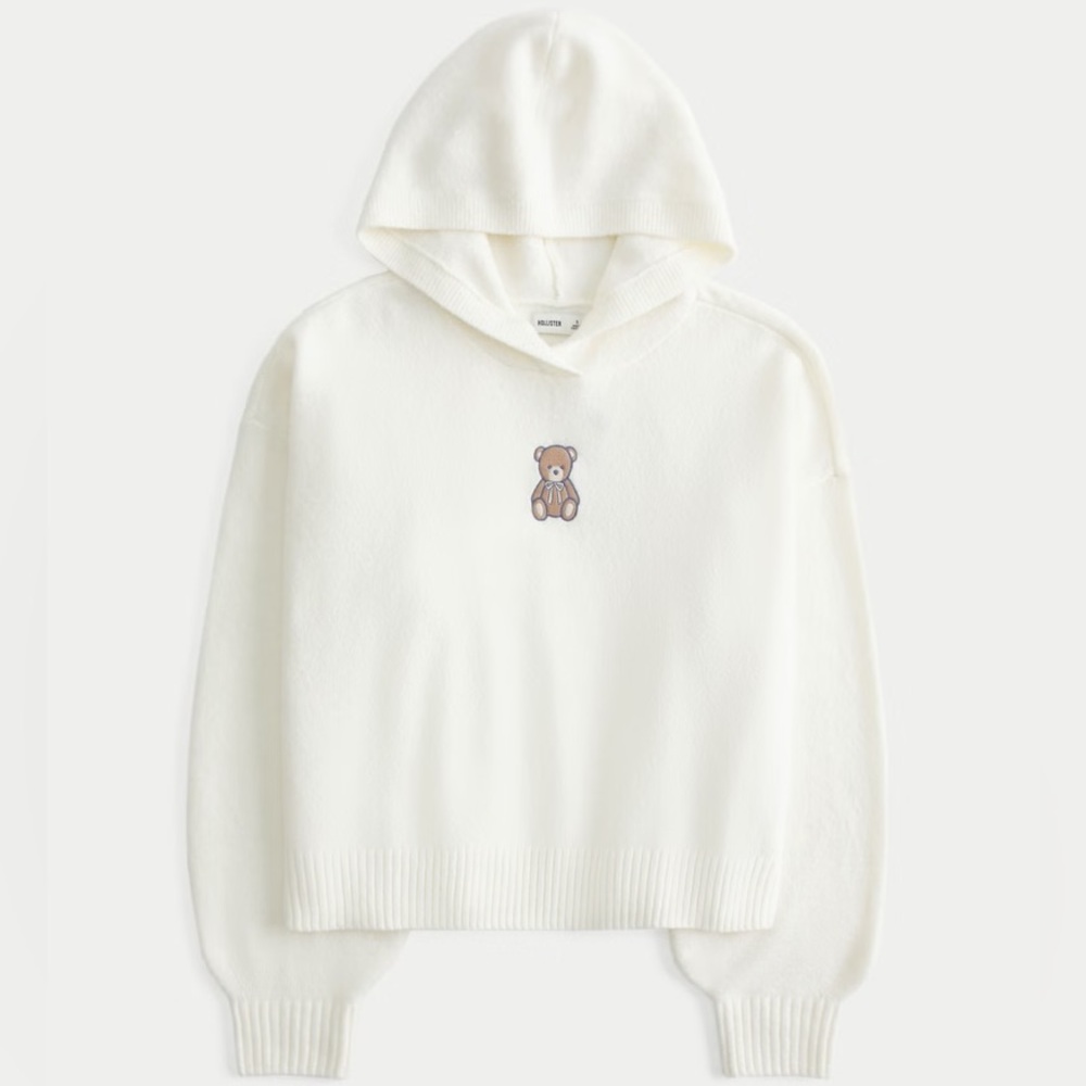 Hollister Teddy Bear Sweater Hoodie SZ XL